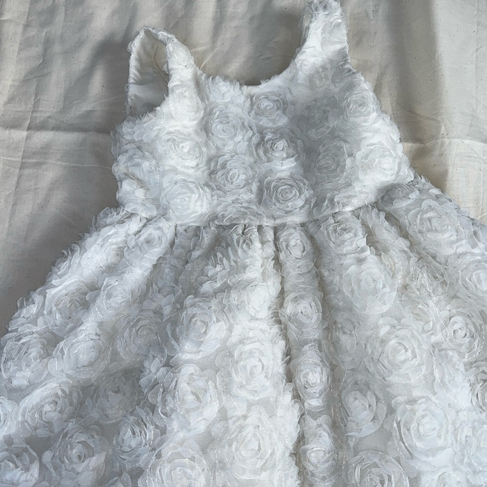 Jane and Jack White Rosette Flower Girl Dress 2t